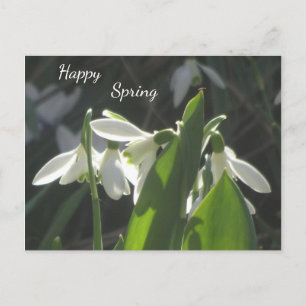 Snowdrops Cust. Textvykort Vykort