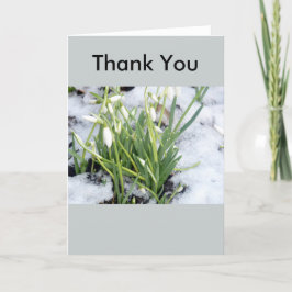Snowdrops i snötackkort tack kort