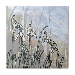 Snowdrops Kakelplatta