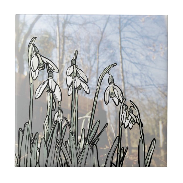 Snowdrops Kakelplatta (Framsidan)
