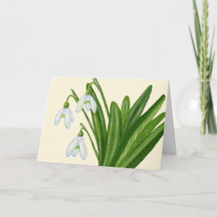 Snowdrops kort