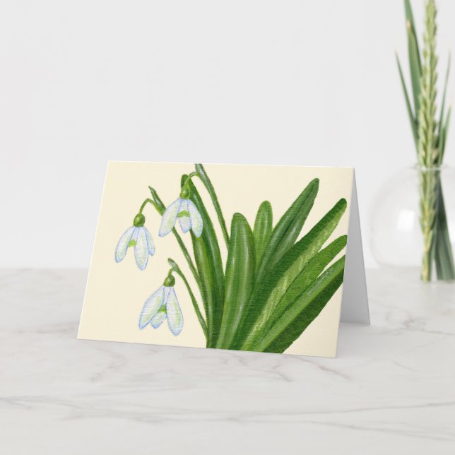 Snowdrops kort (Framsida)