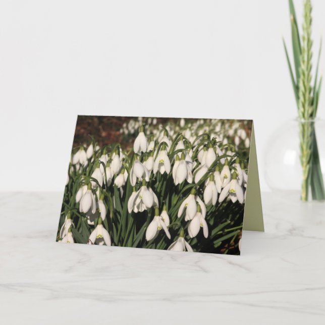 Snowdrops kort (Framsida)