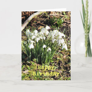 SNOWDROPS KORT