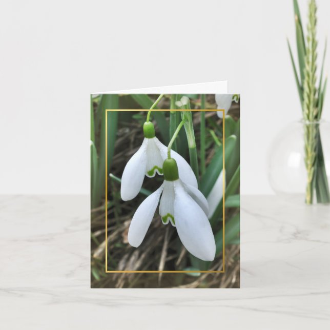 Snowdrops med den guld- gränsen helgkort (Framsida)