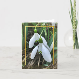 Snowdrops med den guld- gränsen helgkort