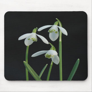 Snowdrops mousepad musmatta