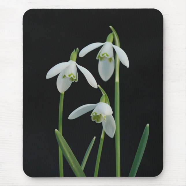 Snowdrops mousepad musmatta (Framsidan)