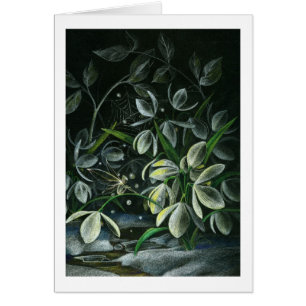 Snowdrops på natten hälsningskort