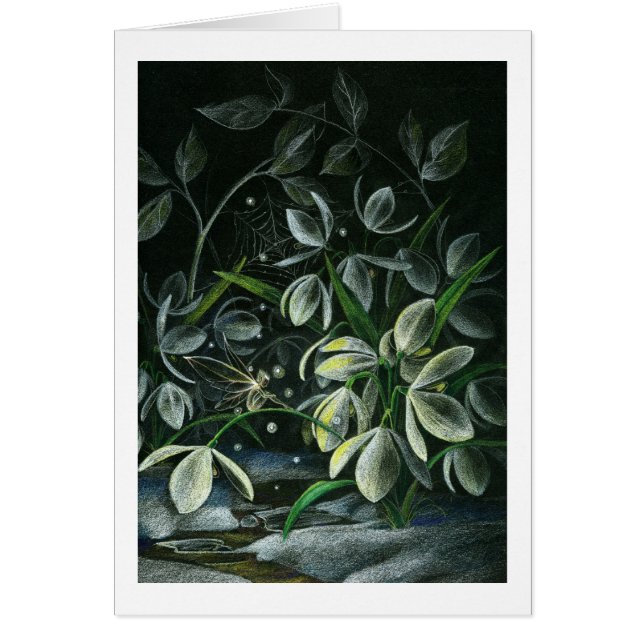Snowdrops på natten hälsningskort (Framsidan)