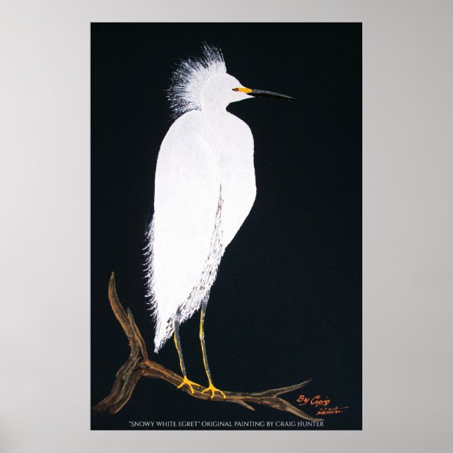 Snowey white egret poster (Framsidan)