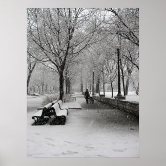 Snowfall i Montreal, Quebec Poster