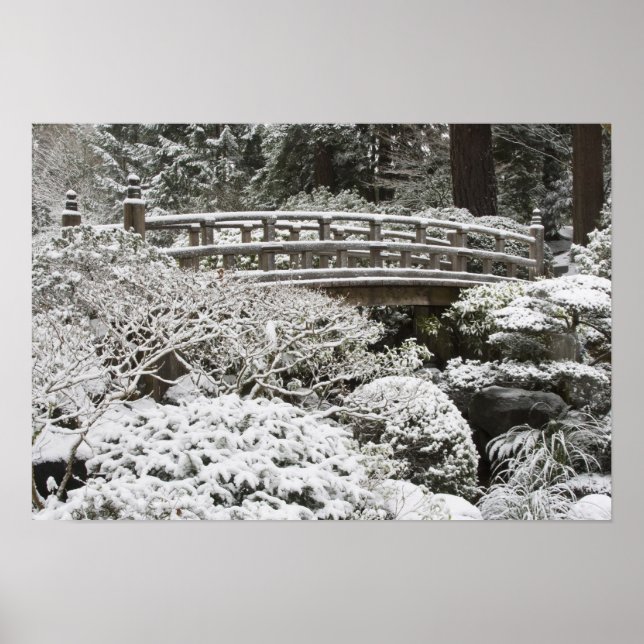 Snowfall i Portland Japanska Garden. Poster (Framsidan)