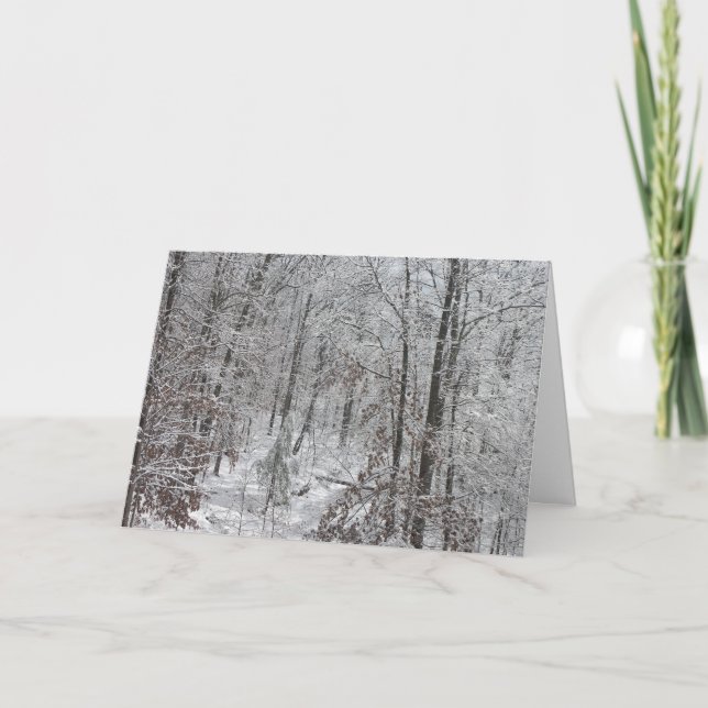 Snowfall i SC-mtns Helgkort (Framsida)