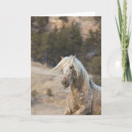 Snowfall - Prägling till frihetskvitto Kort