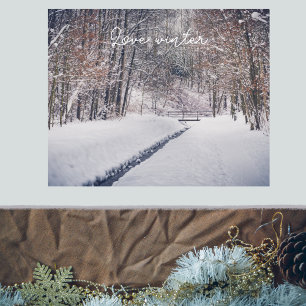 Snowfall vid parkkastet poster