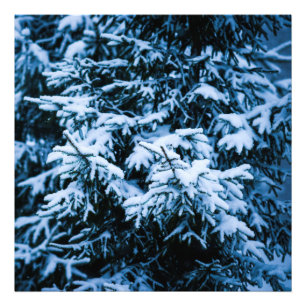Snowfall Winter Julgran Fototryck
