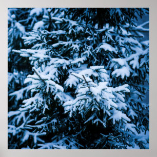 Snowfall Winter Julgran Poster