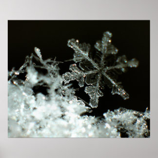 Snowflake 2009 Snöstorm Poster