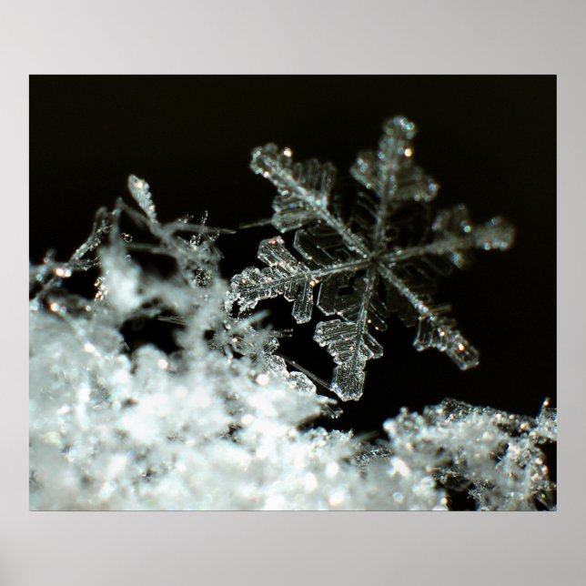 Snowflake 2009 Snöstorm Poster (Framsidan)