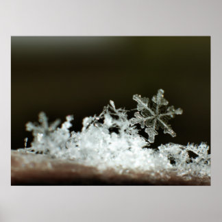 Snowflake 2009 Snöstorm Poster