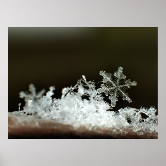 Snowflake 2009 Snöstorm Poster (Framsidan)