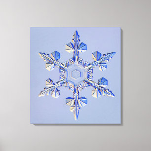 Snowflake 2 canvastryck