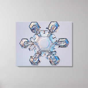 Snowflake 2 canvastryck