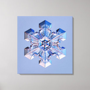 Snowflake 3 canvastryck