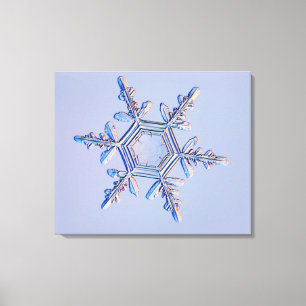 Snowflake 4 canvastryck