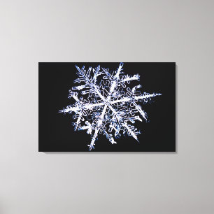 Snowflake 5 canvastryck