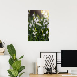 Snowflake-blommor Poster