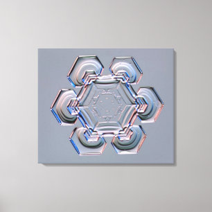 Snowflake Canvastryck