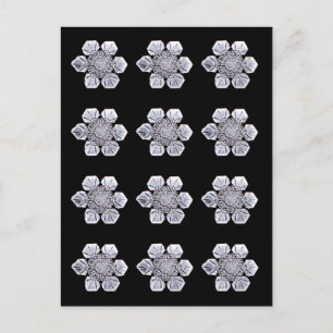 Snowflake Crystal Photos Vykort