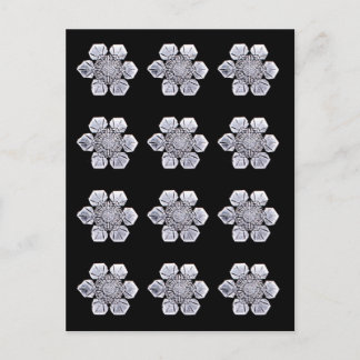 Snowflake Crystal Photos Vykort