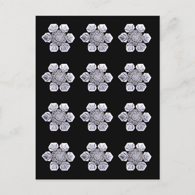 Snowflake Crystal Photos Vykort (Framsida)