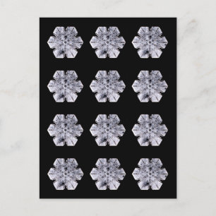 Snowflake Crystal Photos Vykort