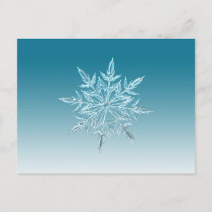 Snowflake Crystal Vykort