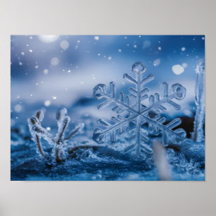 Snowflake Ice Crystals Etheral Snowflake Ice Cryst Poster