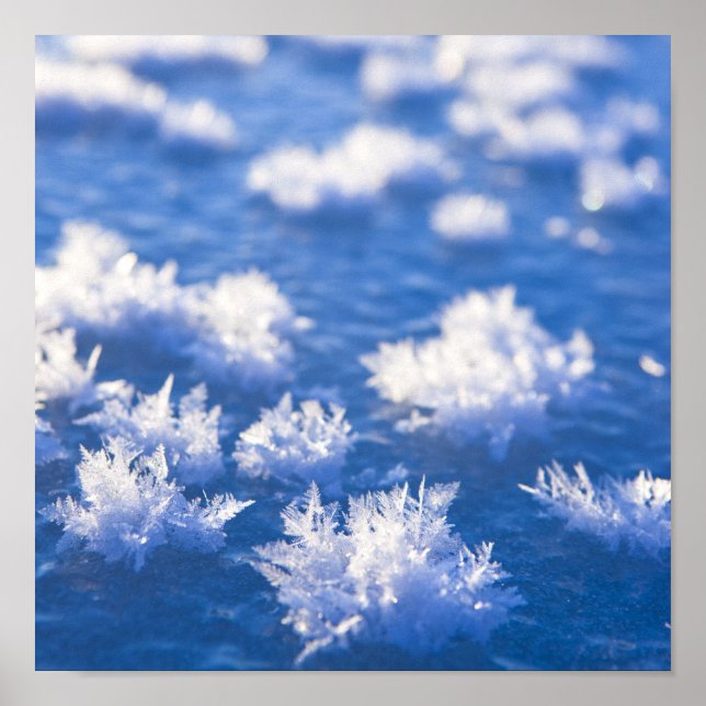 Snowflake Ice Poster (Framsidan)