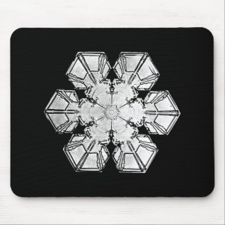 "Snowflake ", Musmatta