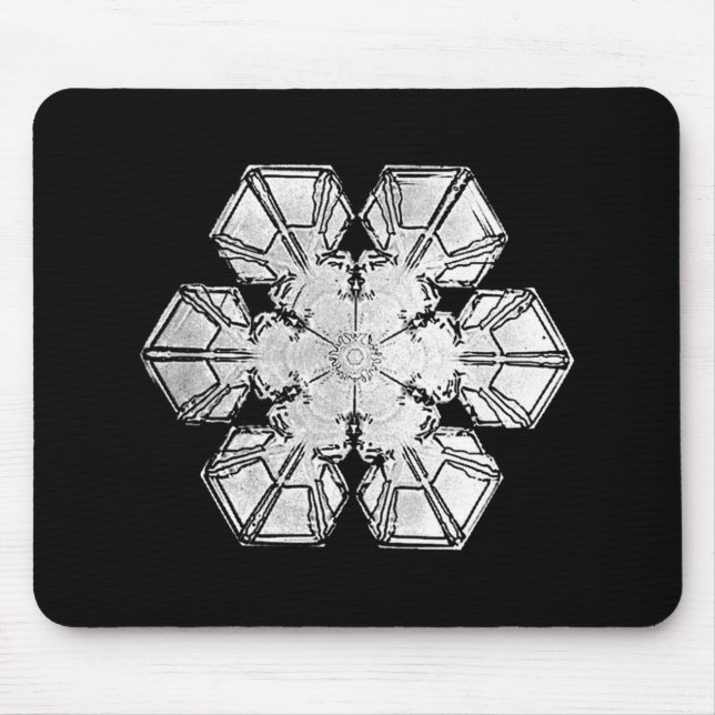 "Snowflake ", Musmatta (Framsidan)