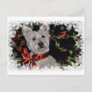 Snowflake Westie Vykort