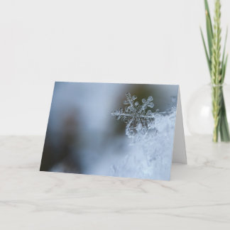 Snowflakehelgdagkort Helgkort