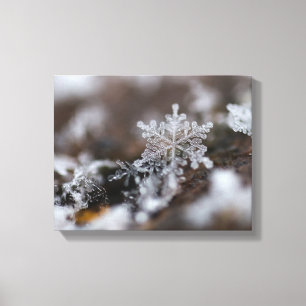 Snowflakekanfas Canvastryck