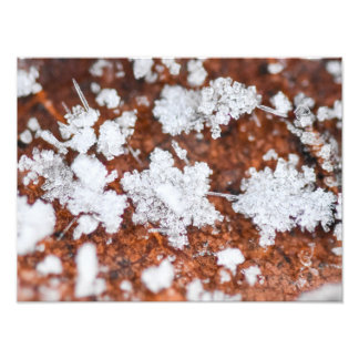 Snowflakes  fototryck