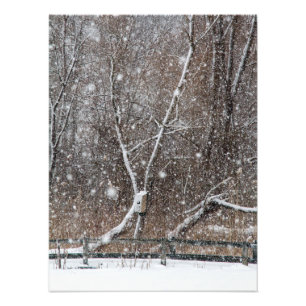 Snowing at Park Fototryck