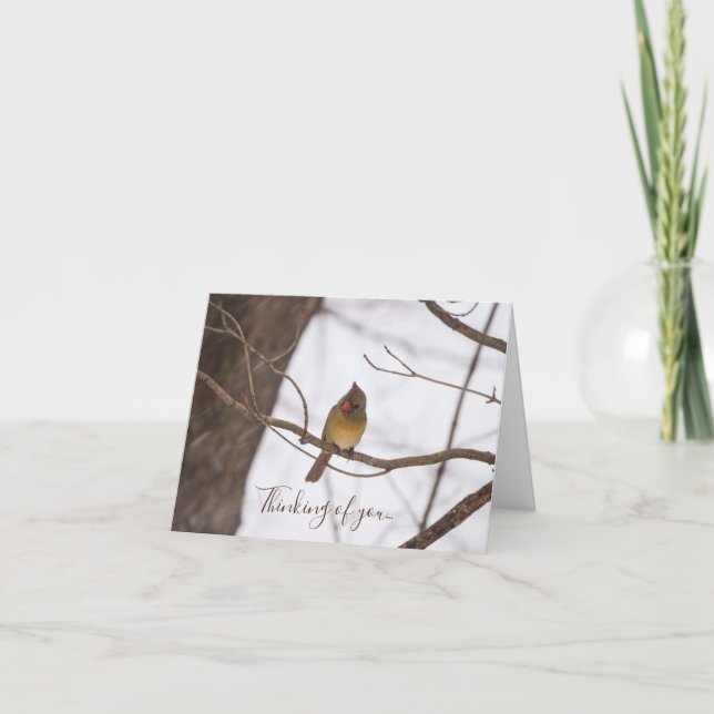 Snowing säger än en gång att kardinal tänker på er kort (Framsida)