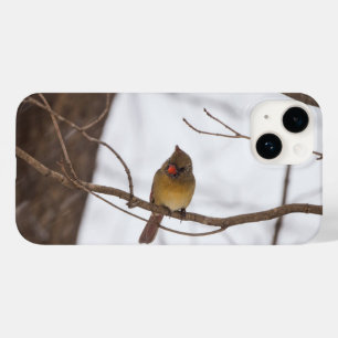 Snowing säger återigen Cardinal iphone case