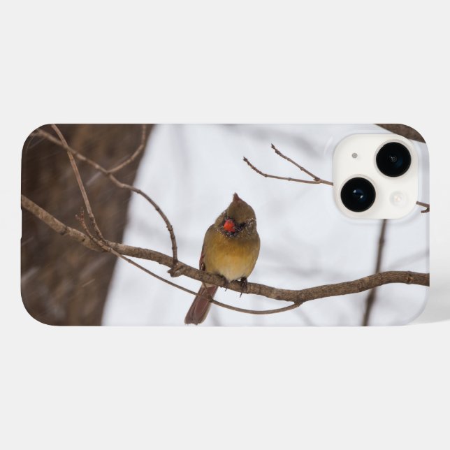 Snowing säger återigen Cardinal iphone case (Baksida (horisontell))